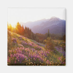 Lupine- und Olympiaregion Magnet