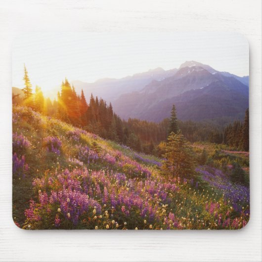 Lupine- und Olympiaregion Mousepad (Vorne)