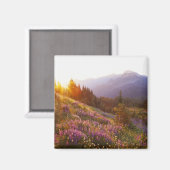 Lupine- und olympisches Gebirge in Magnet (Vorderseite/Rückseite)