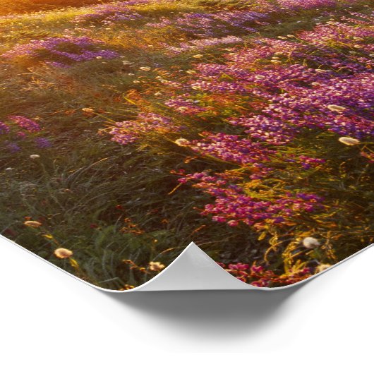 Lupine- und olympisches Gebirge in Poster (Ecke)