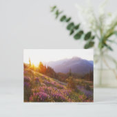 Lupine- und olympisches Gebirge in Postkarte (Stehend Vorderseite)