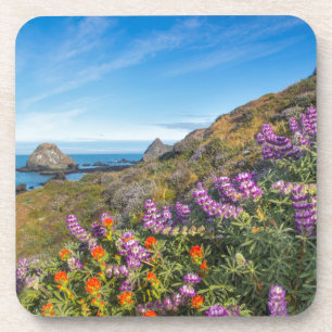 Lupine und Pinsel Getränkeuntersetzer