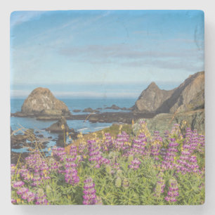 Lupine Wildblumen bedecken die Hügel Steinuntersetzer