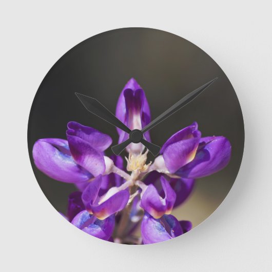 Lupine Wonder Runde Wanduhr (Vorderseite)