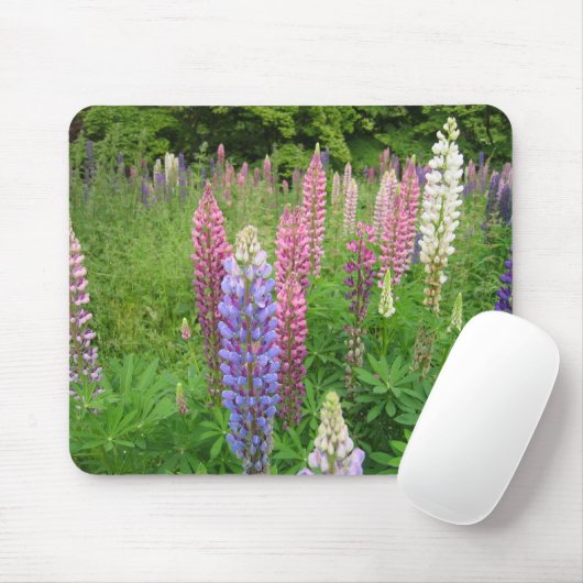 Lupinen an Winkworth Arboretum, Surrey Mousepad (Mit Mouse)