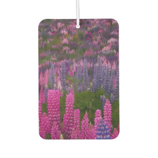 Lupinen-Blumenfeld Natur-Ästhetik-Druck Autolufterfrischer