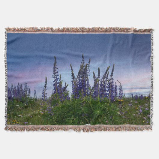 Lupinen decke (Vorderseite)