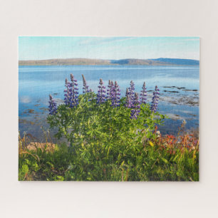 Lupinen eines isländischen Fjord-Jigsaw-Puzzles Puzzle