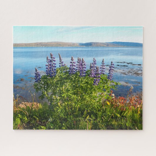 Lupinen eines isländischen Fjord-Jigsaw-Puzzles Puzzle (Horizontal)