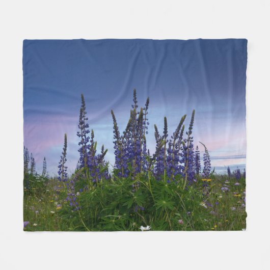 Lupinen fleecedecke (Vorderseite (Horizontal))