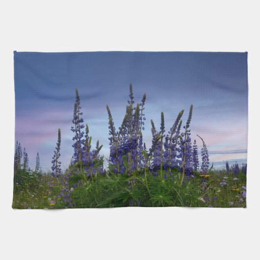 Lupinen geschirrtuch (Horizontal)