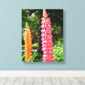 Lupinen im Hütte Garden - Martha's Vineyard Leinwanddruck (Insitu (Holzboden))