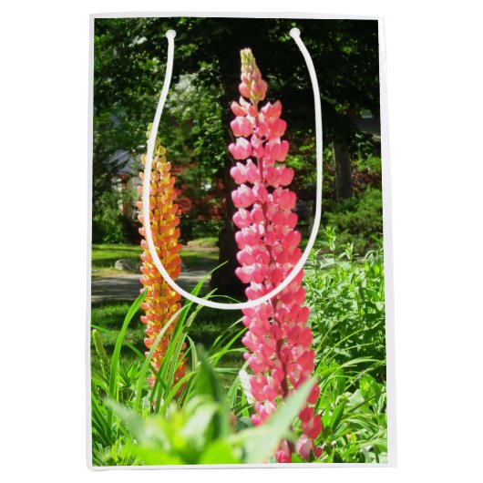 Lupinen im Hütte Garden - Martha's Vineyard Mittlere Geschenktüte (Vorderseite)