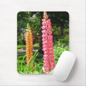 Lupinen im Hütte Garden - Martha's Vineyard Mousepad (Mit Mouse)
