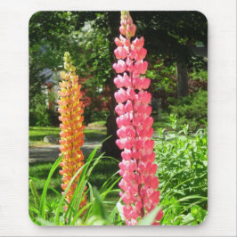 Lupinen im Hütte Garden - Martha's Vineyard Mousepad