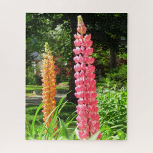 Lupinen im Hütte Garden - Martha's Vineyard Puzzle