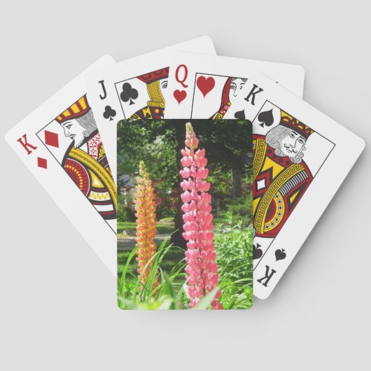 Lupinen im Hütte Garden - Martha's Vineyard Spielkarten (Rückseite)