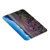 Lupinen in Bloom | Kenai Mountains, Alaska Magnet (Rechte Seite)