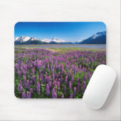 Lupinen in Bloom | Kenai Mountains, Alaska Mousepad (Mit Mouse)