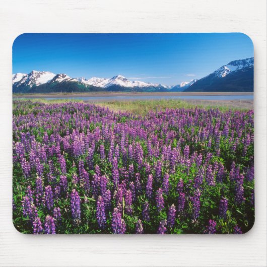 Lupinen in Bloom | Kenai Mountains, Alaska Mousepad (Vorne)