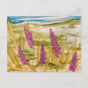 Lupinen in freier Wildbahn Postkarte