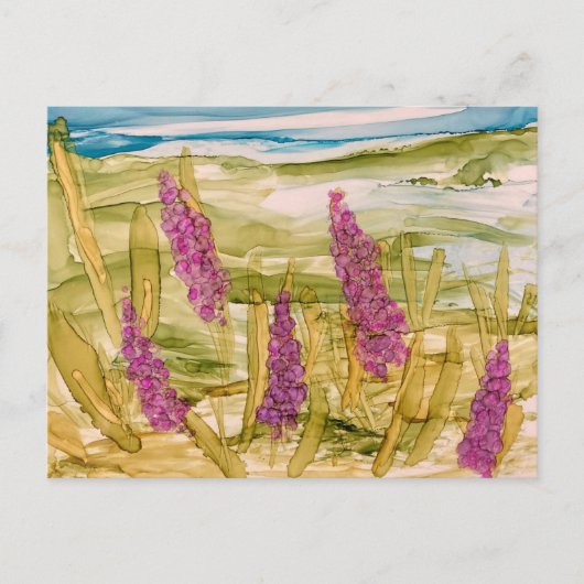 Lupinen in freier Wildbahn Postkarte (Vorderseite)