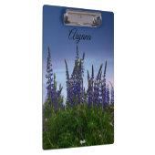 Lupinen klemmbrett (Rechts)
