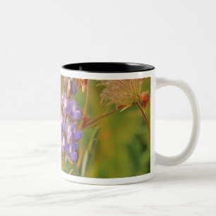 Lupinen & Prärie-Rauch Wildblumen in Montana 2 Zweifarbige Tasse
