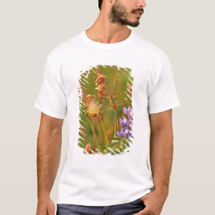 Lupinen & Prärie-Rauchwildblumen in Montana T-Shirt