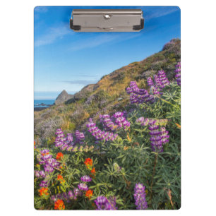 Lupinen- und Schlängelwurz-Wildblumen Klemmbrett