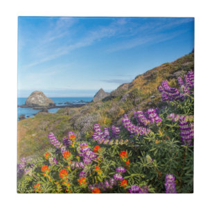 Lupinen- und Schlauchpinsel-Wildblumen Fliese