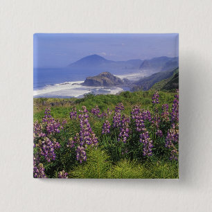 Lupinenblumen und raue Küstenlinie entlang Button