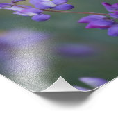 Lupinenfeld Fotodruck (Ecke)