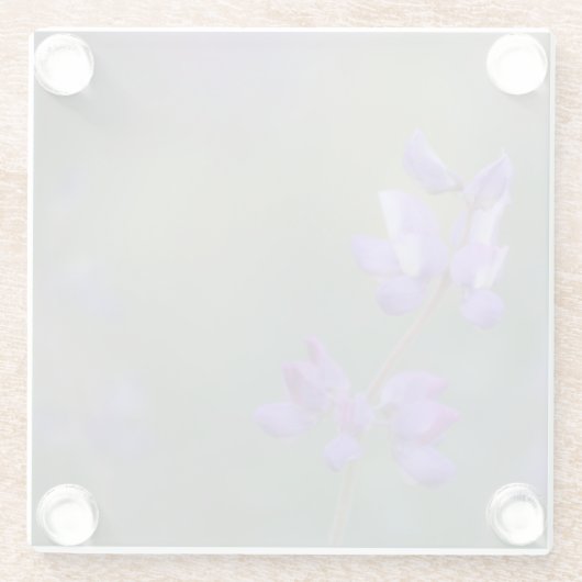 Lupinenfeld Glasuntersetzer (Rückseite)