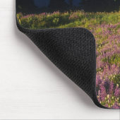 Lupinenfeld, Olympus und Wolken am Mousepad (Ecke)