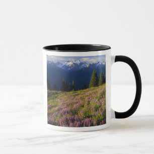 Lupinenfeld, Olympus und Wolken am Tasse