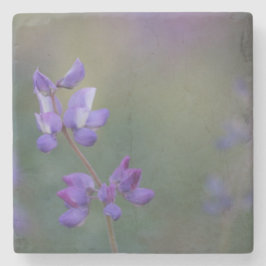 Lupinenfeld Steinuntersetzer