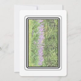 Lupines - Big Bay Rd 2023 Notecards Mitteilungskarte