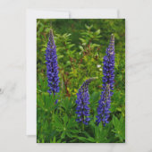 Lupines Einladung (Vorderseite)
