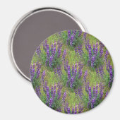 Lupines Galore... Magnet (Vorderseite/Rückseite)