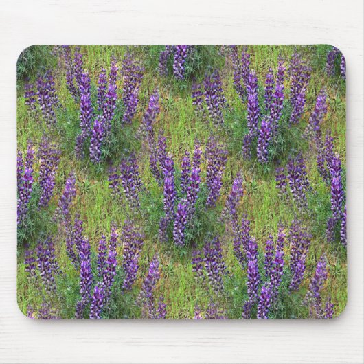 Lupines Galore... Mousepad (Vorne)