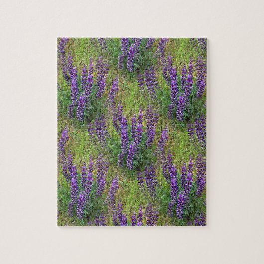 Lupines Galore... Puzzle (Vertikal)