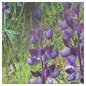 Lupines Galore... Stoff (Nahaufnahme)