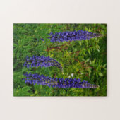 Lupines Puzzle (Horizontal)