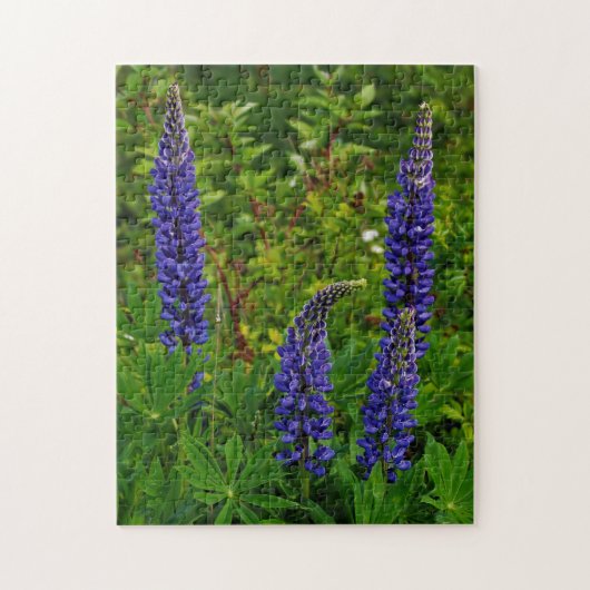Lupines Puzzle (Vertikal)