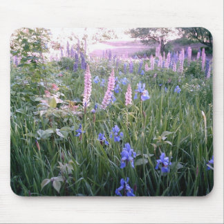 Lupines u. Iris Mousepad