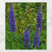 Lupines Weinetikett (Einzelnes Label)