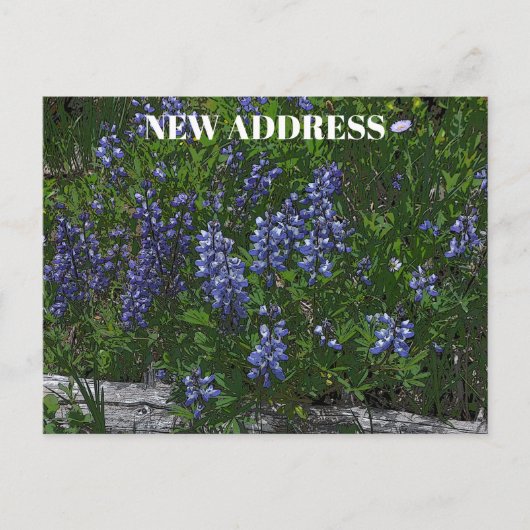 Lupins Change of Address Postkarte (Vorderseite)