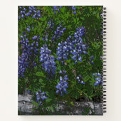 Lupins Notizblock (Rückseite)