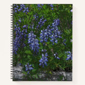 Lupins Notizblock (Vorderseite)